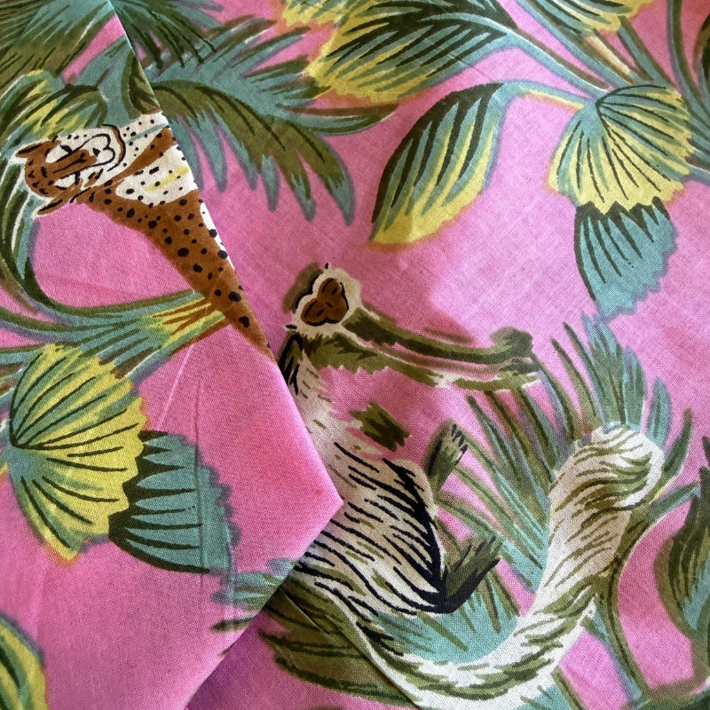 Jungle Leopard Orchid