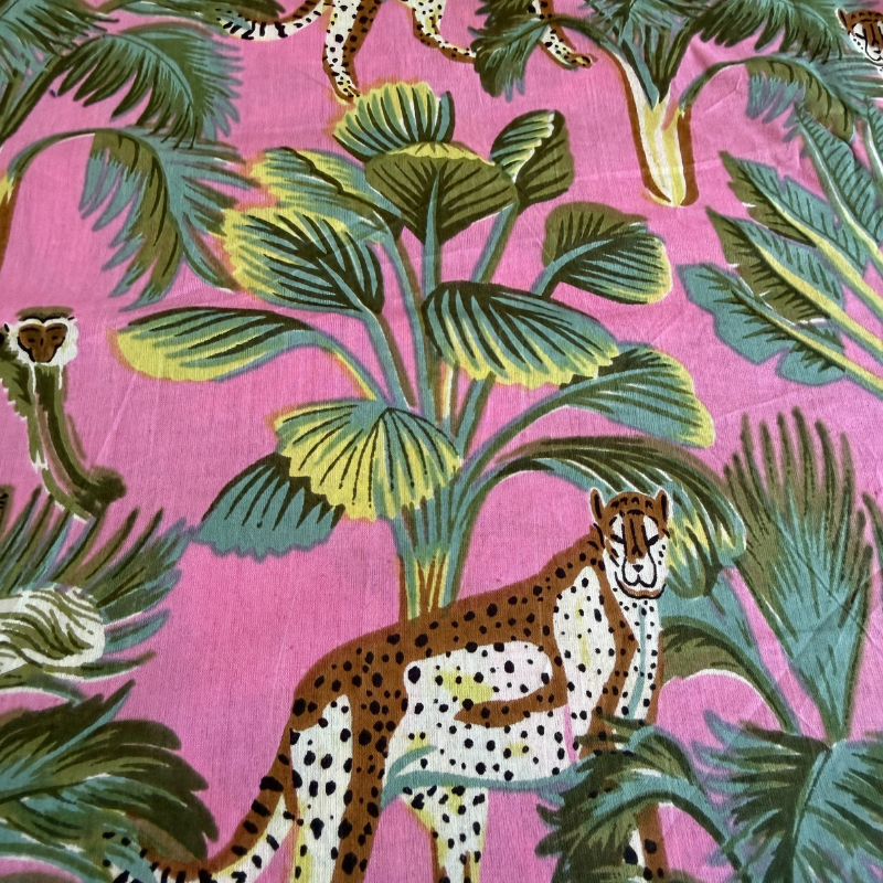 Jungle Leopard Orchid