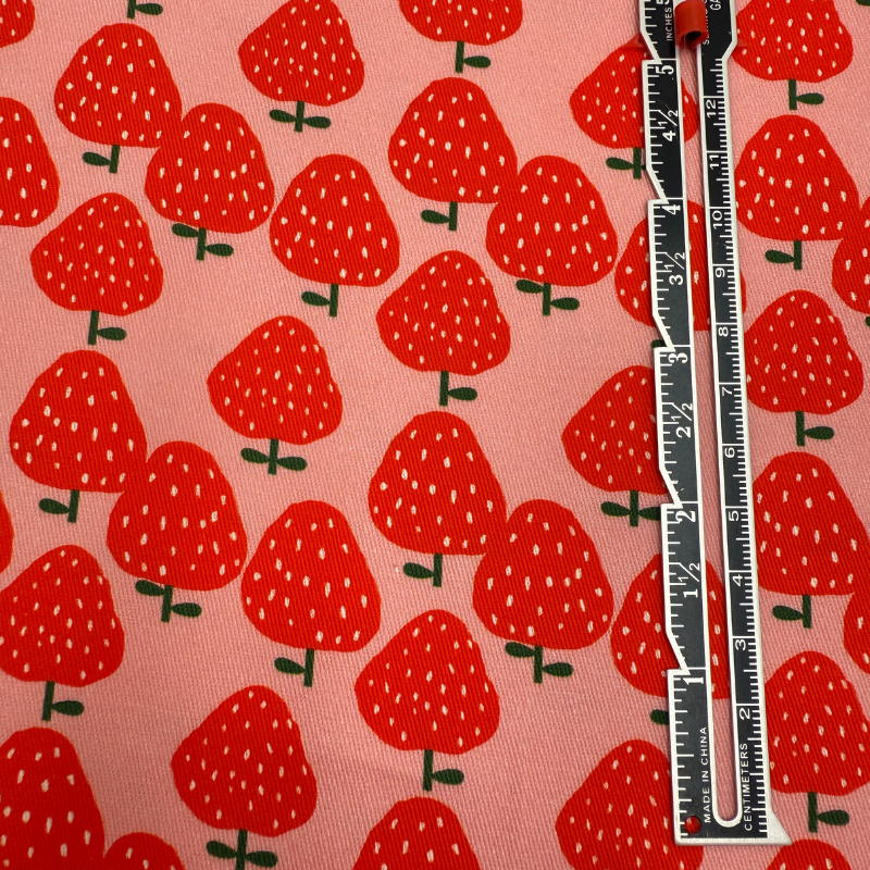 Strawberry Cotton Denim
