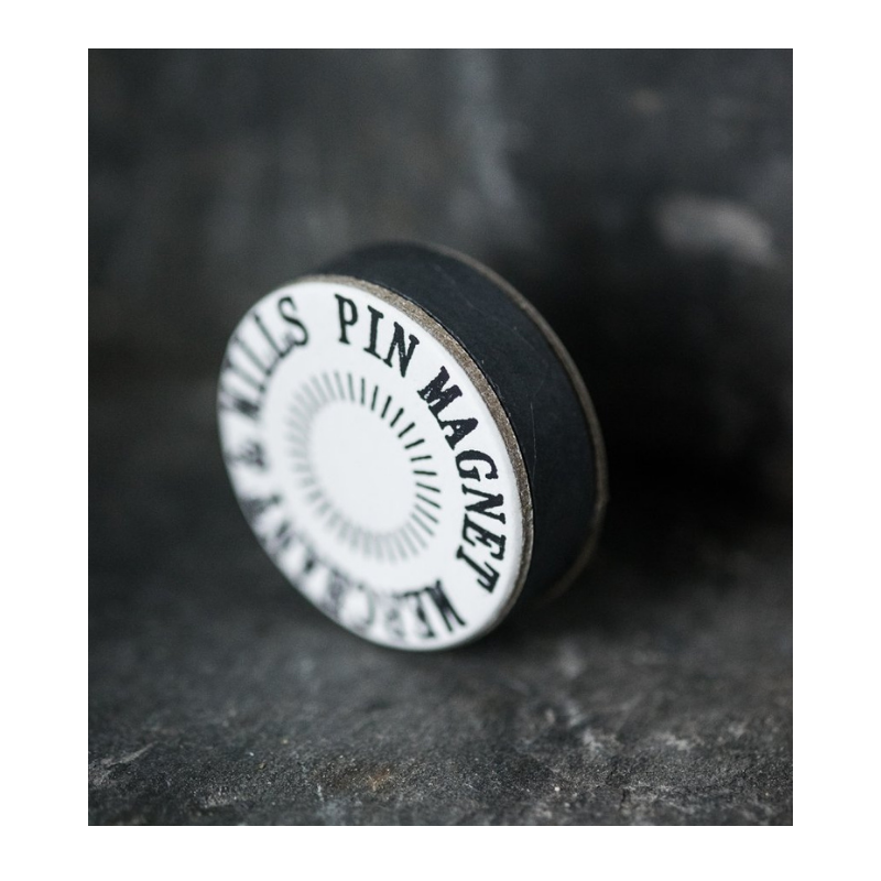 Pin Magnet