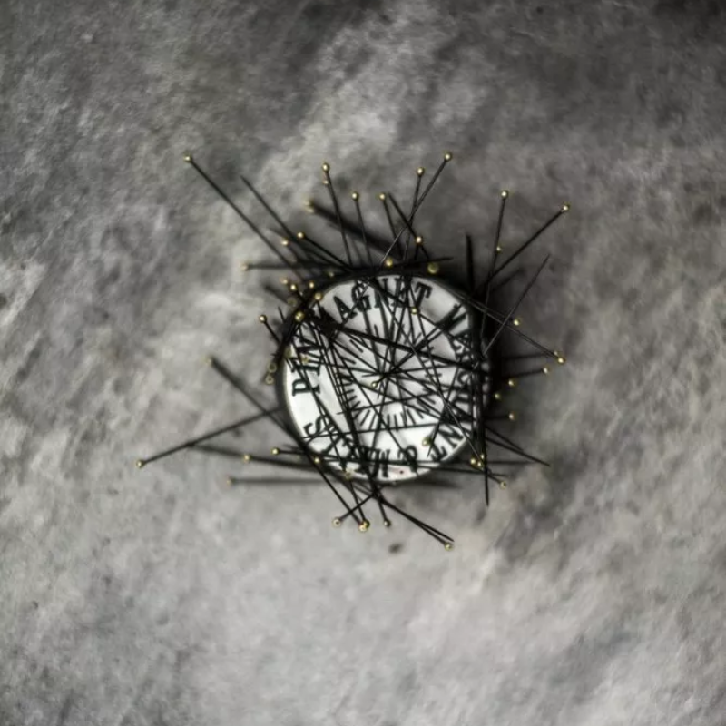 Pin Magnet