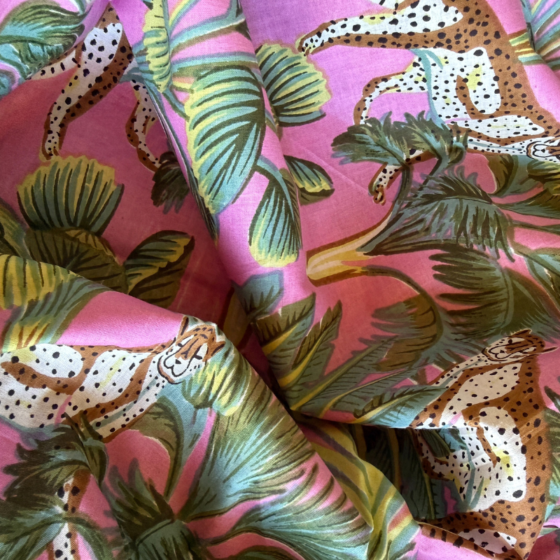 Jungle Leopard Orchid