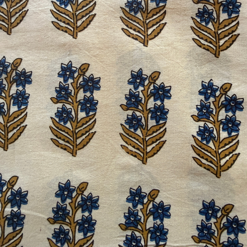 Larkspur