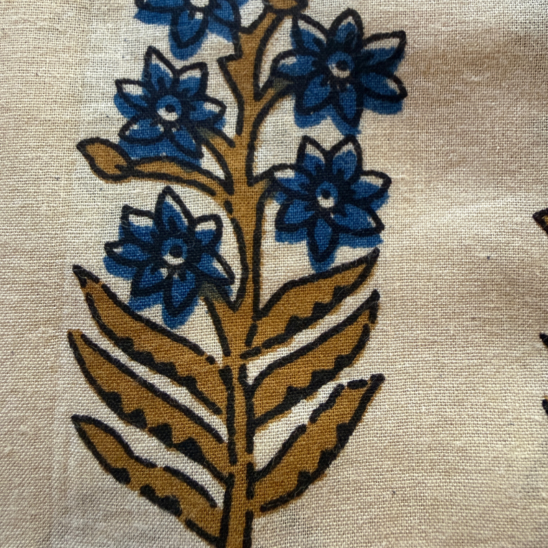 Larkspur